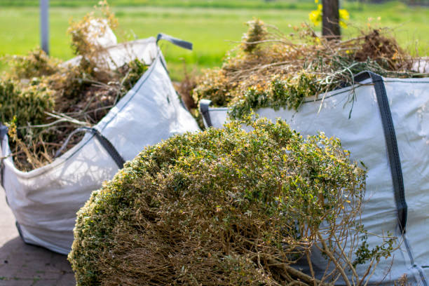 Best Junk Hauling Services  in Pacific, WA